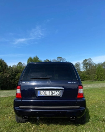 Mercedes-Benz ML cena 38500 przebieg: 242465, rok produkcji 2003 z Wolbrom małe 254